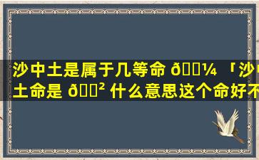 沙中土是属于几等命 🌼 「沙中土命是 🌲 什么意思这个命好不好」